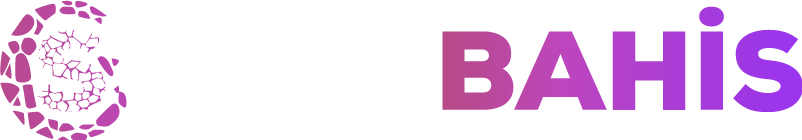 Stonebahis Giriş Adresi | Aktif, Hızlı ve Güncel Tek Platform